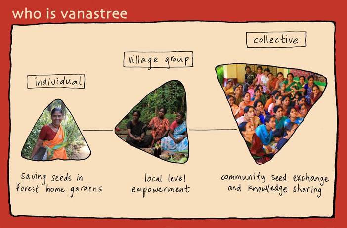 Vanastree About Graphic 3a