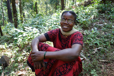 Vanastree Profiles Seed Saver Lakshmi Siddi
